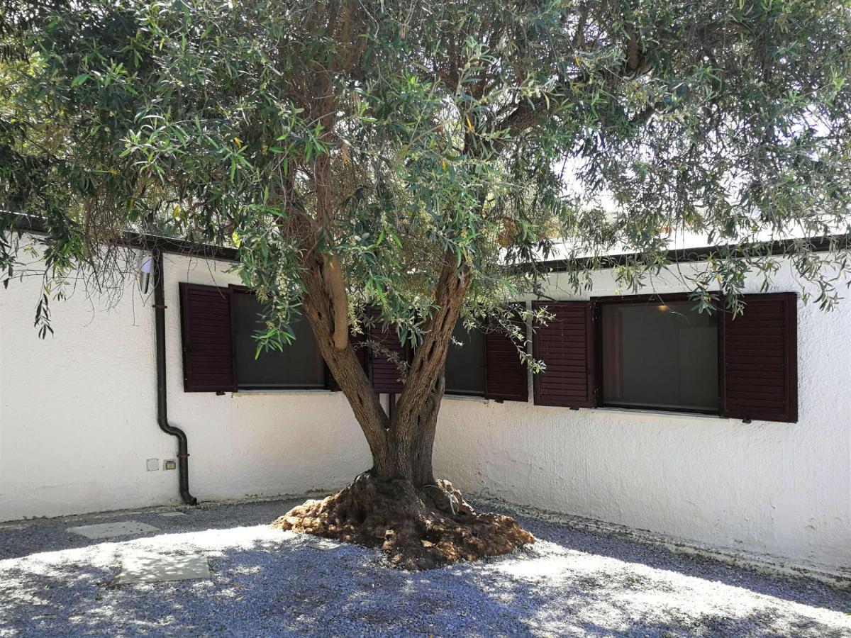 Villa La Plaja تْشيفالو المظهر الخارجي الصورة