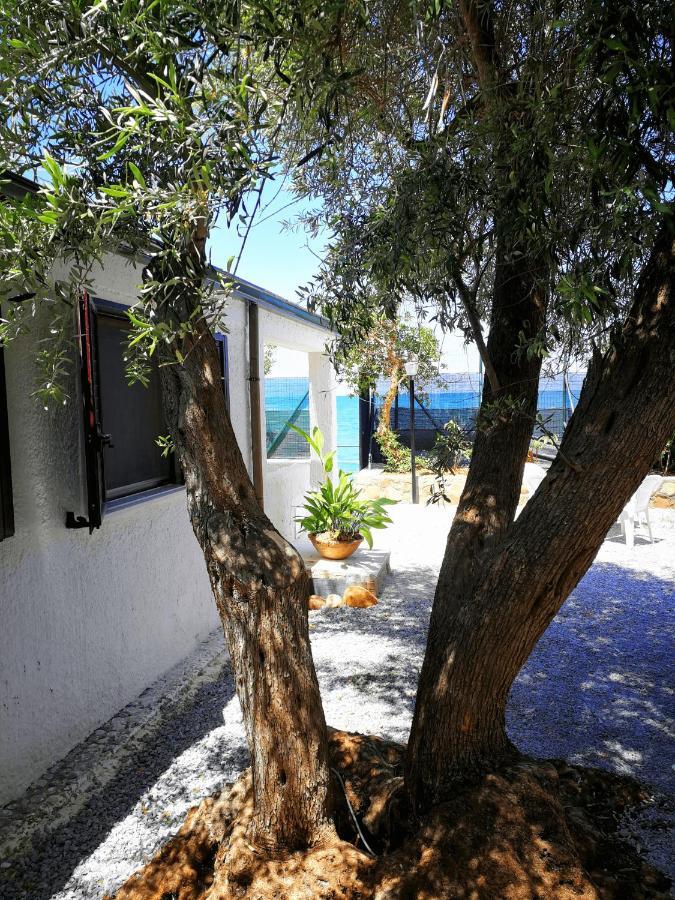Villa La Plaja تْشيفالو المظهر الخارجي الصورة