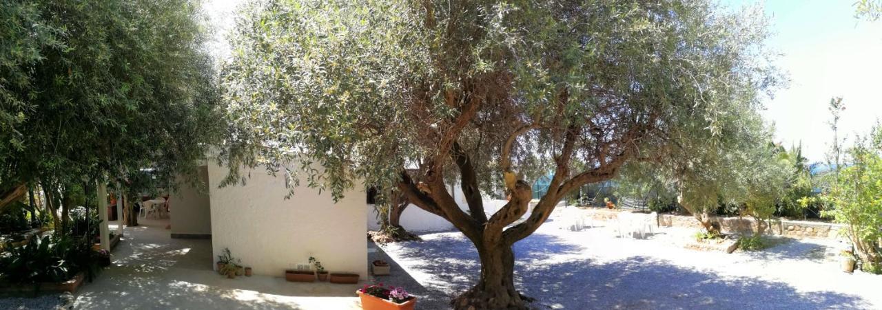 Villa La Plaja تْشيفالو المظهر الخارجي الصورة